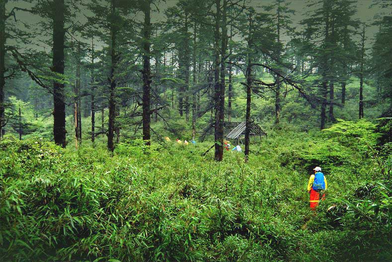 四川瓦屋山上有一条“迷魂道” 摄影 何方