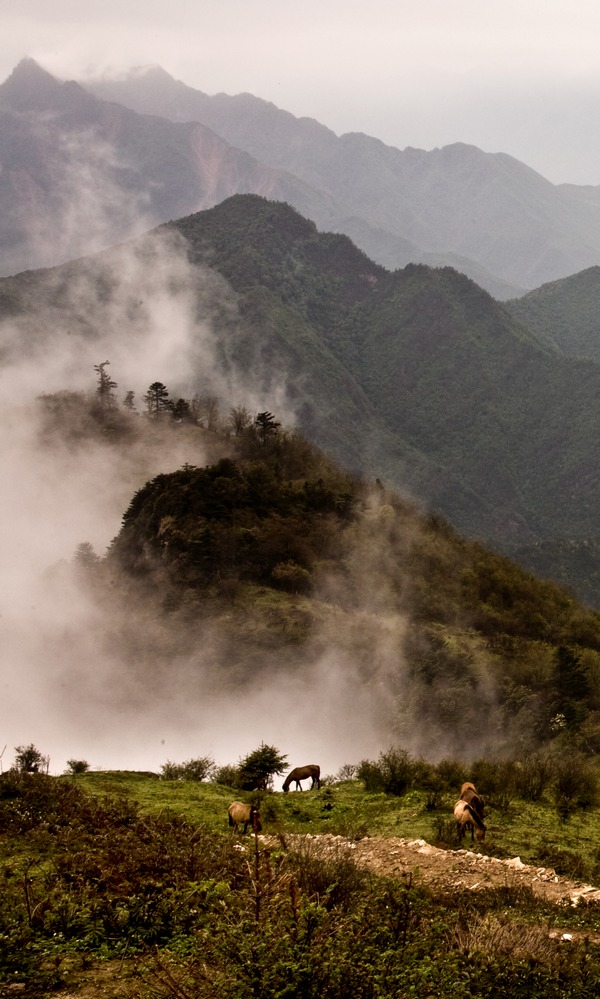 烟雨牛背山 摄影 藏地青鸟