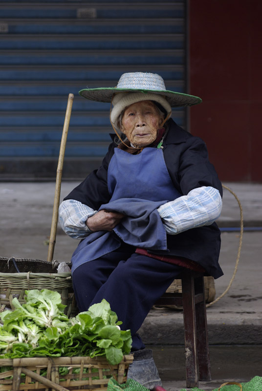 生活与生存 摄影 南来客人