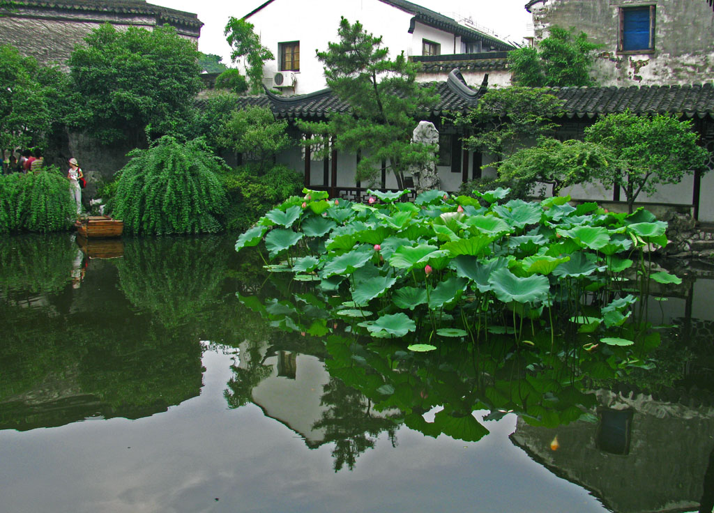 苏州园林.艺圃一景 摄影 綄鎂幸福