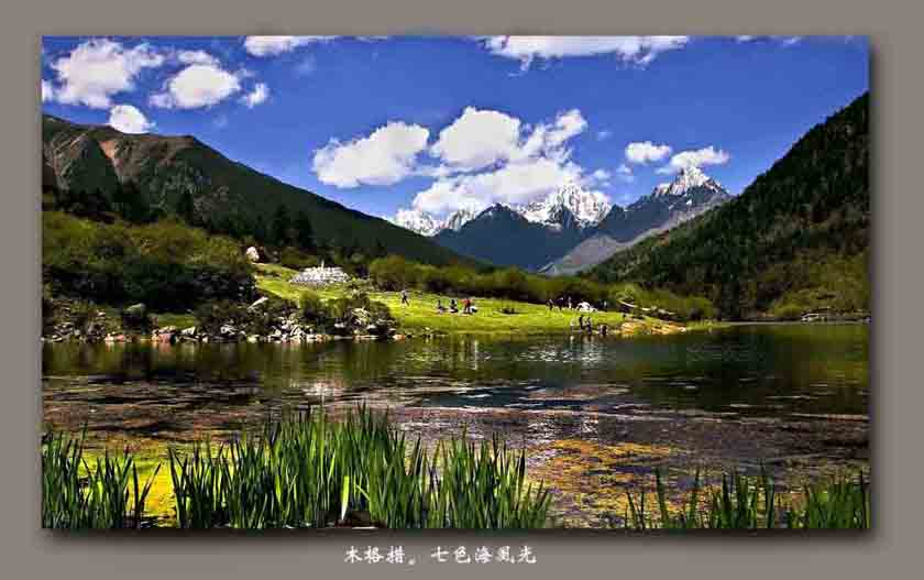 七色海风光 摄影 雪山草地