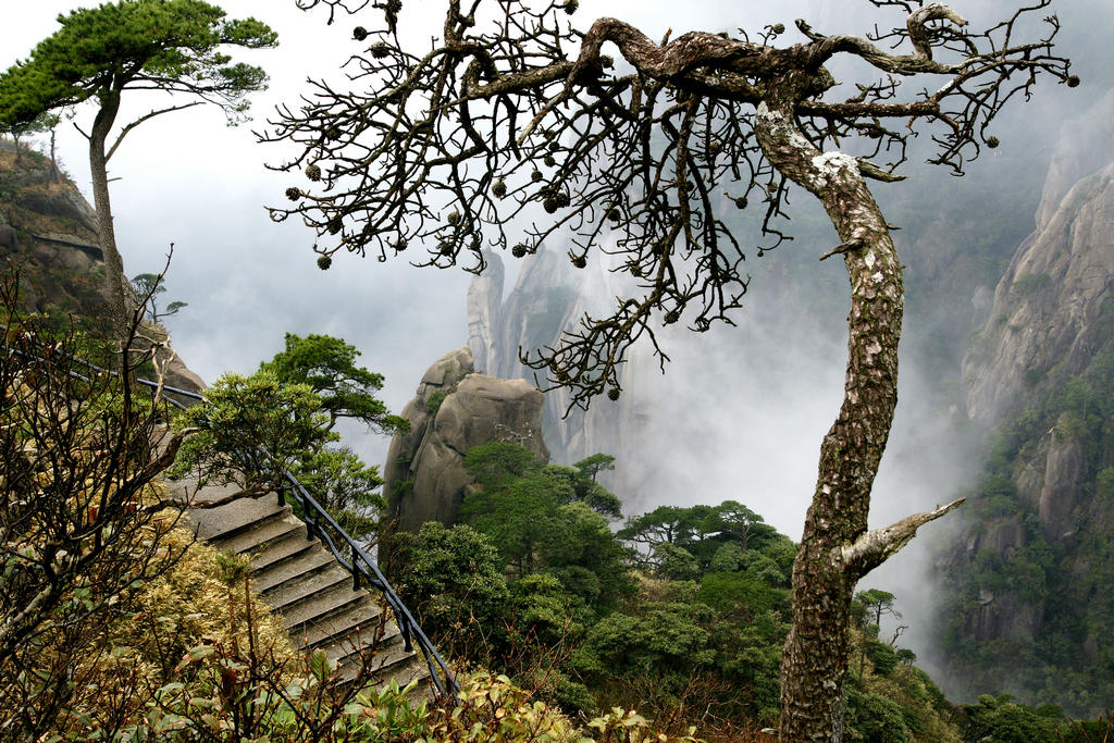 三清山 摄影 老明智