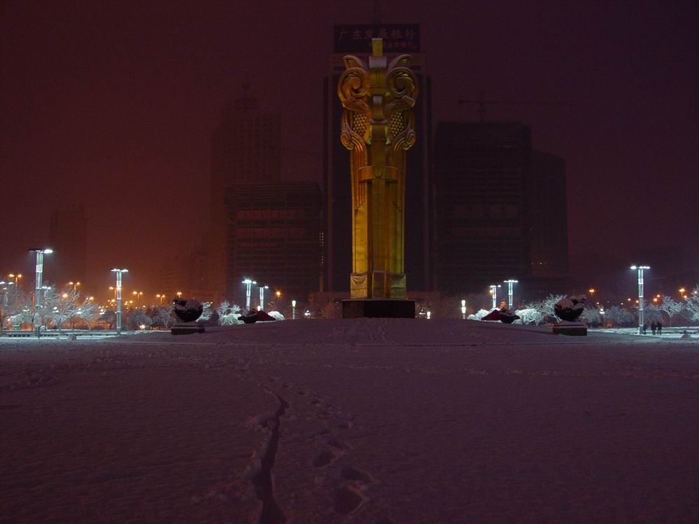 雪停后太阳鸟 摄影 sy5751