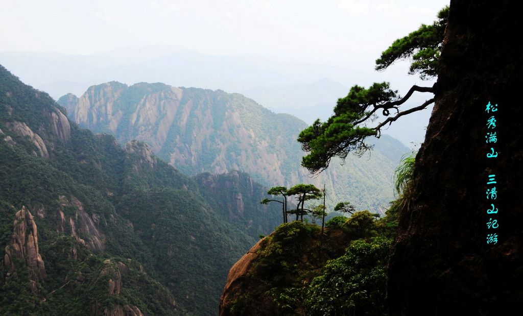 松秀满山 摄影 变异草