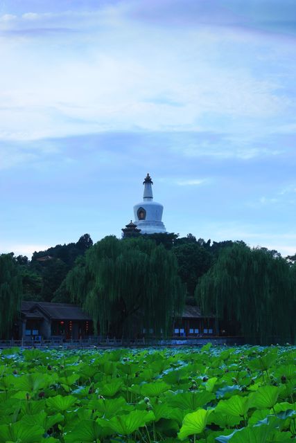 昨日雨后北海公园 摄影 hong2009