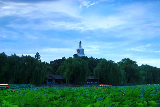 昨日雨后北海公园 摄影 hong2009