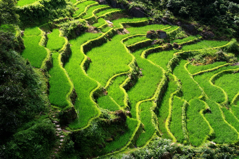 万时山梯田 摄影 广北永贵