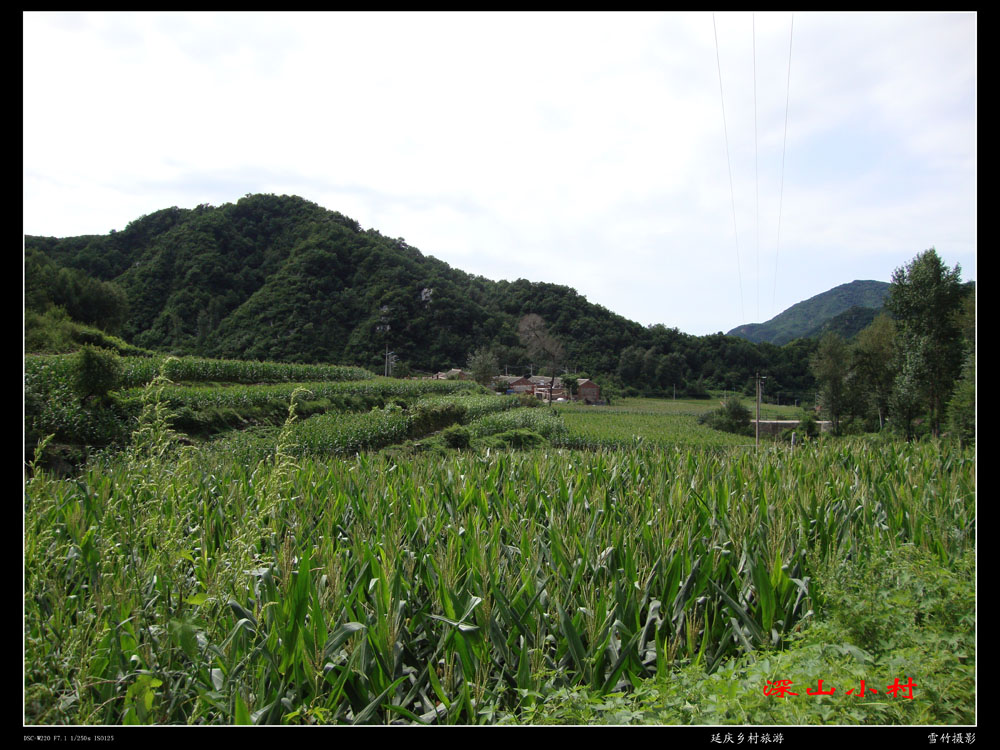 深山小村 摄影 雪竹