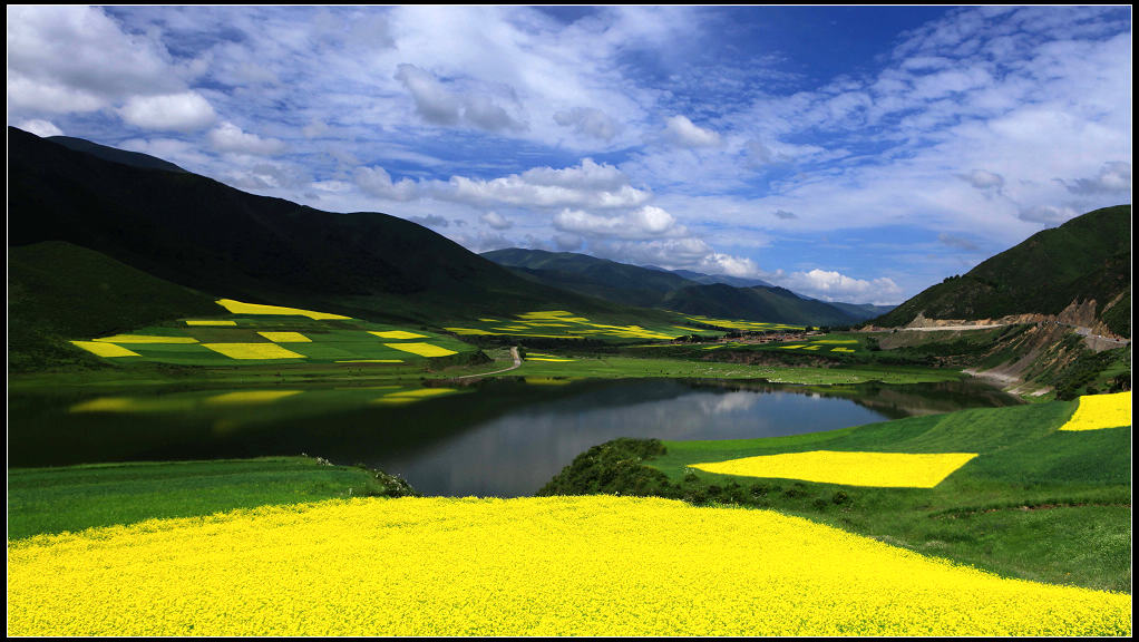 油菜花香沁山林 摄影 春巢秋舍