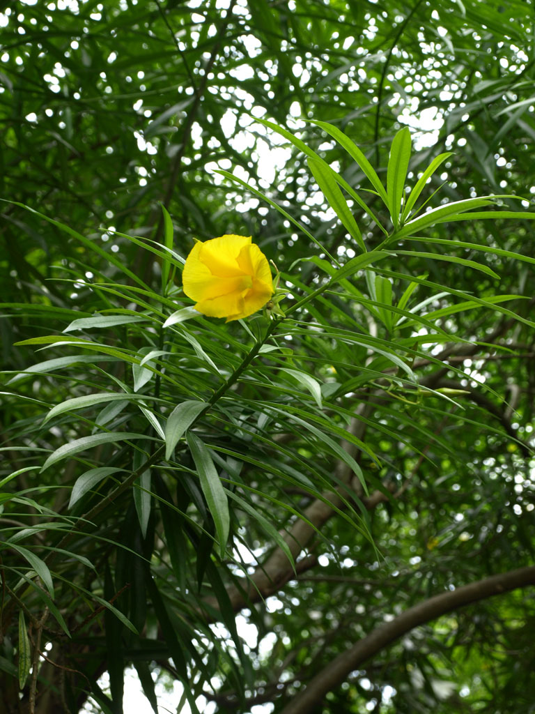 就它美丽 摄影 学有所成