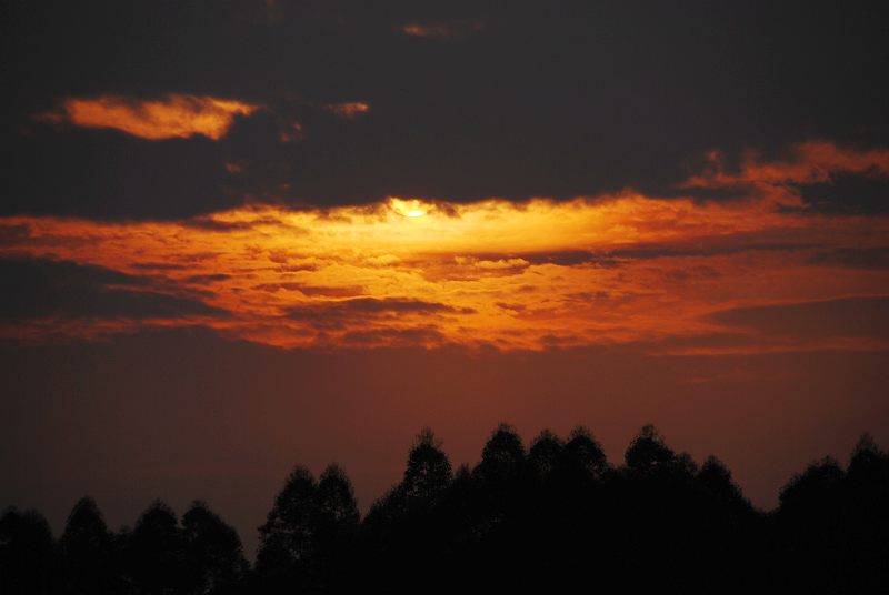 无限夕阳红 摄影 心碎烏托邦