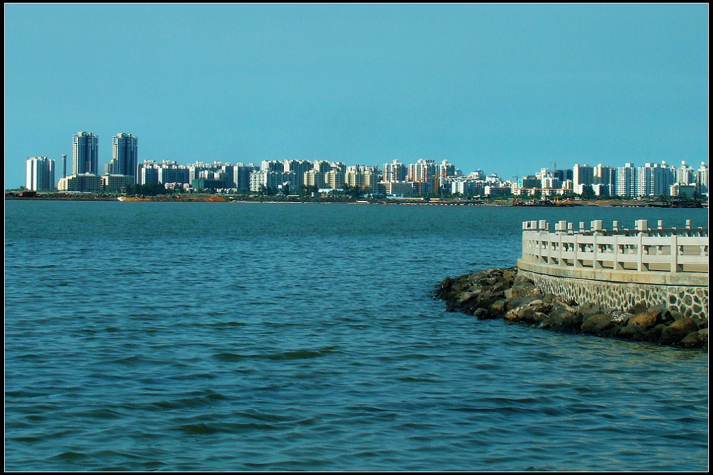 海口西海岸 摄影 又见垂杨