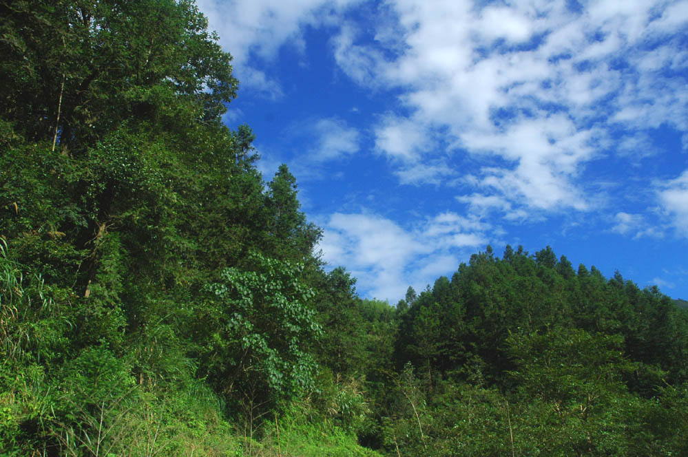 山地风光 摄影 那快田