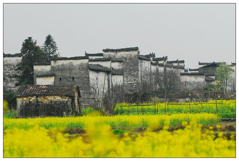 婺源小景 摄影 心已远