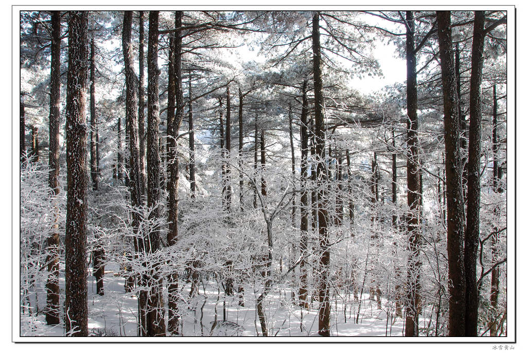 冰雪黄山 摄影 千岛湖