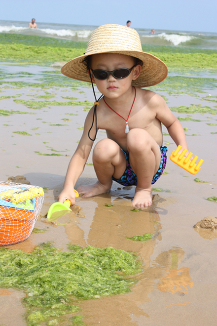 赶海 摄影 WA逆风飞扬