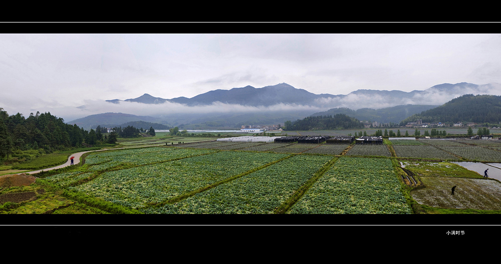 小满时节 摄影 湮迪