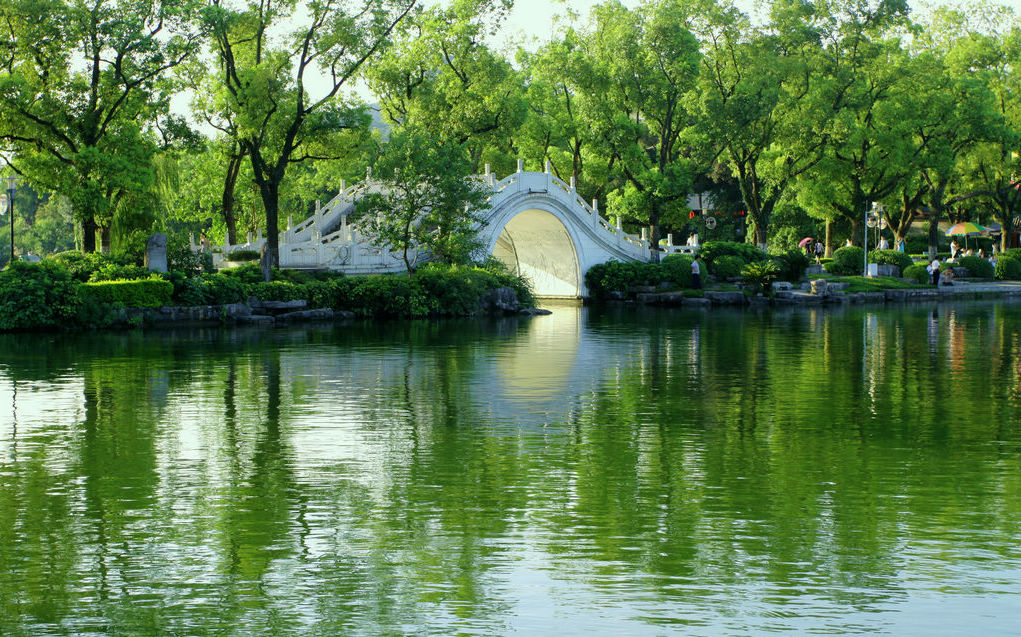 榕湖小景 摄影 湖塘月色