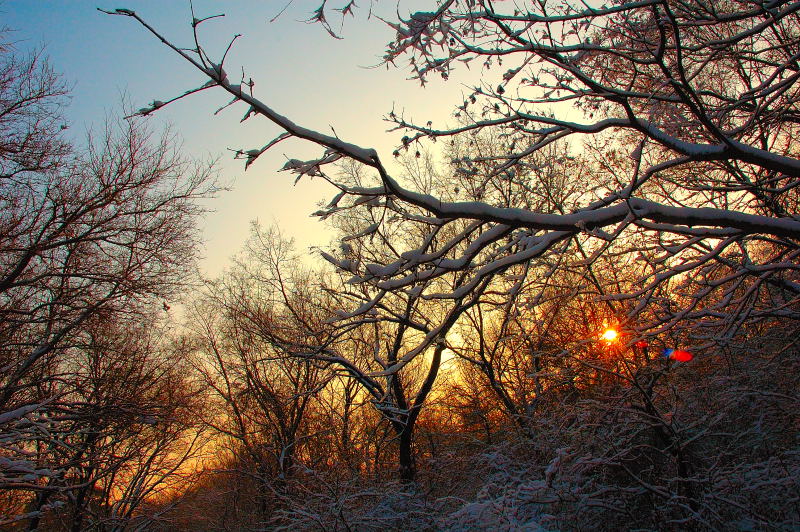 雪后的夕阳 摄影 开车的鱼