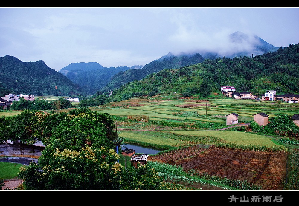 雨后的田野（夏宜） 摄影 流水清芬