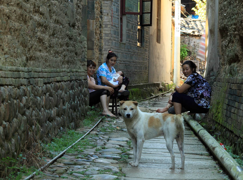 乡村小景------女人、孩子、狗 摄影 老过