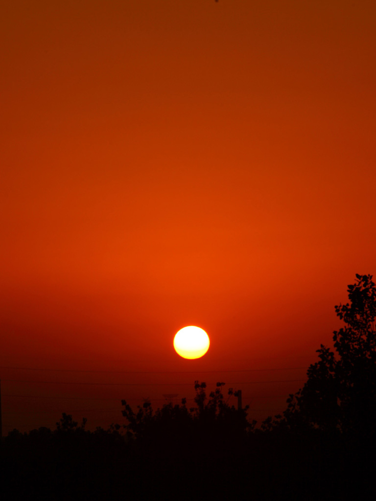 夕阳红 摄影 雪中莲2010