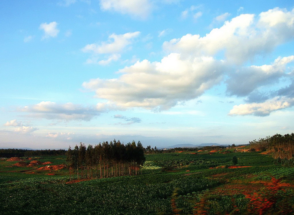 田野 摄影 鲤江