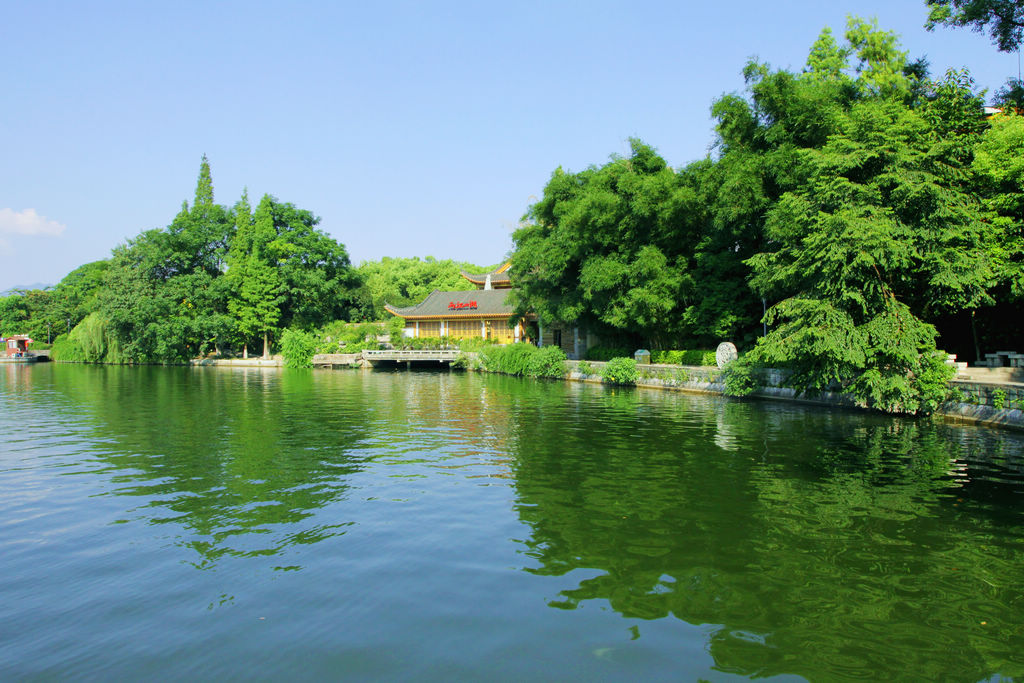 夏日的清凉 摄影 湖塘月色