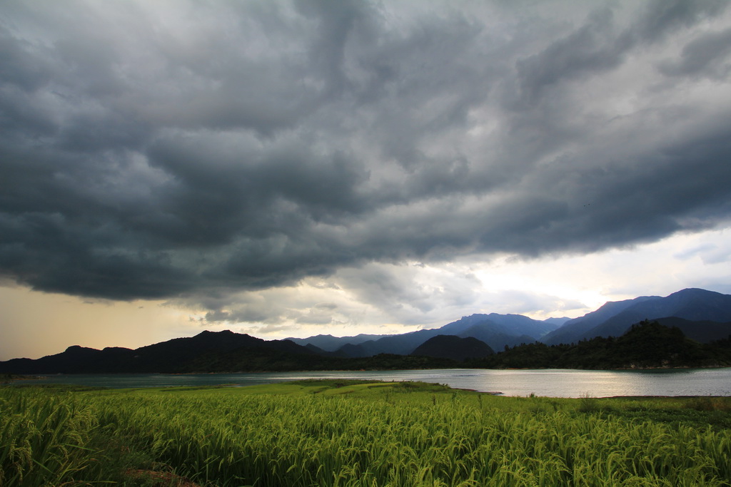 风雨欲来 摄影 congmingshu