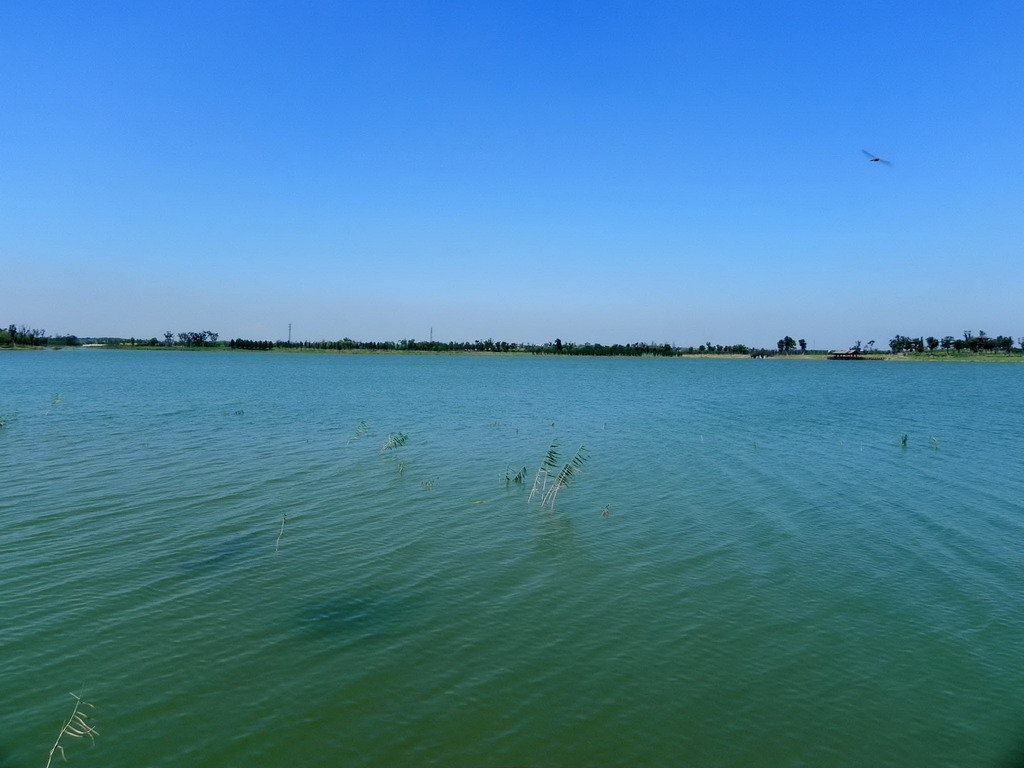 苏州太湖湿地公园 摄影 孤月独影