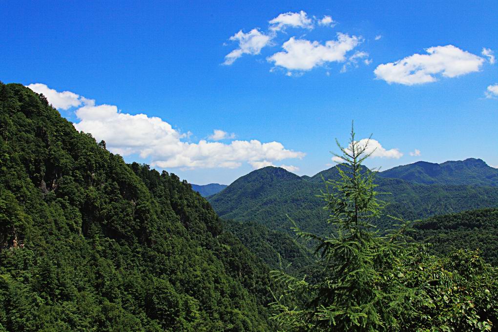 神农架风光[5] 摄影 蕊宝贝