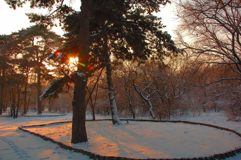 雪后的夕阳-2 摄影 开车的鱼