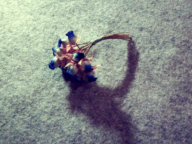 道具花 摄影 By.C