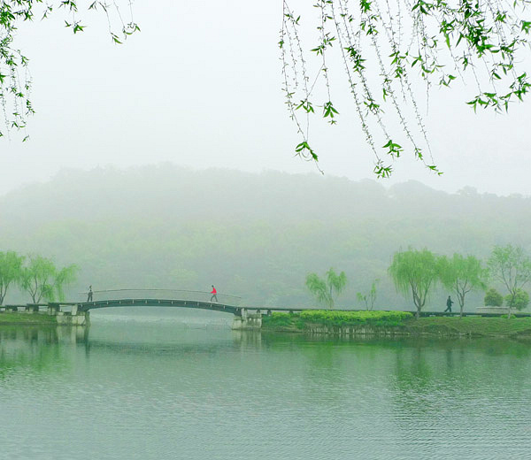 家门口的风景 摄影 姑苏一怪