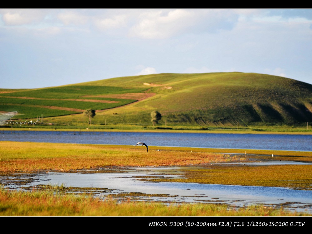 湿地风景 摄影 straybird75