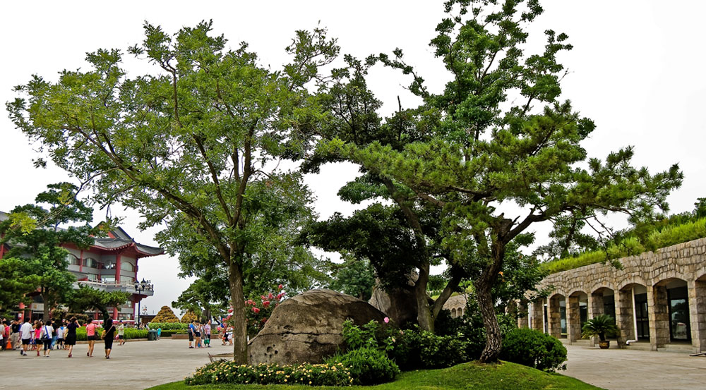 刘公岛街景 摄影 岩影