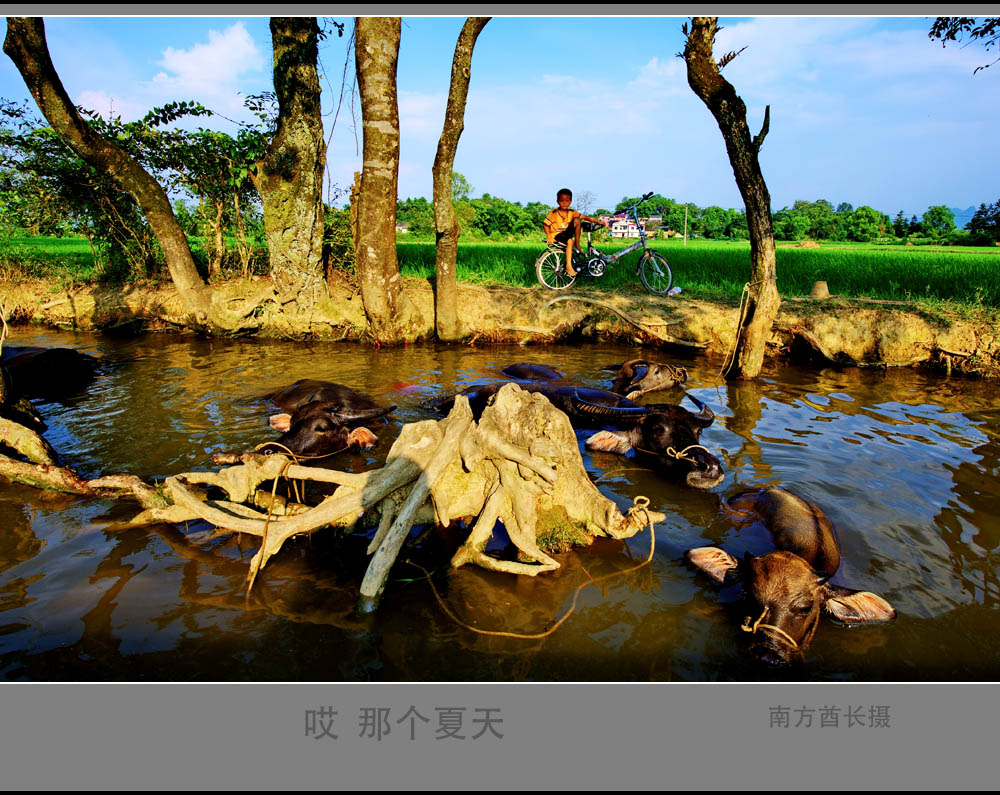 南方部落 夏天 摄影 南方酋长