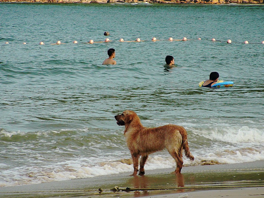 南澳风情——观海者 摄影 盛夏明月