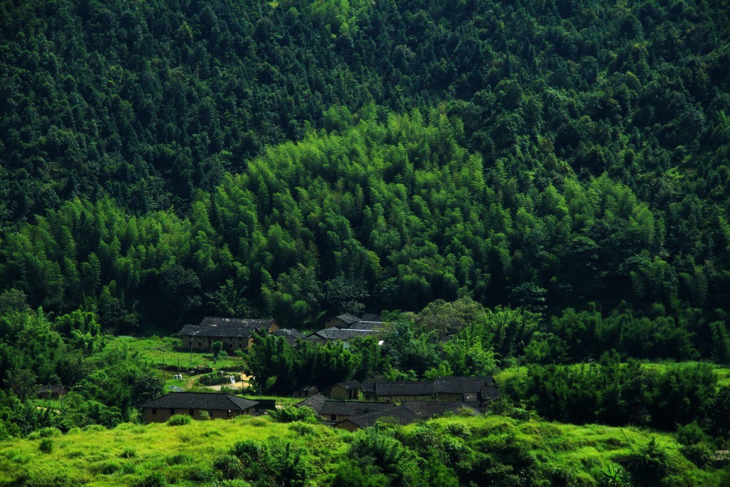 我从这里来 摄影 天使之吻