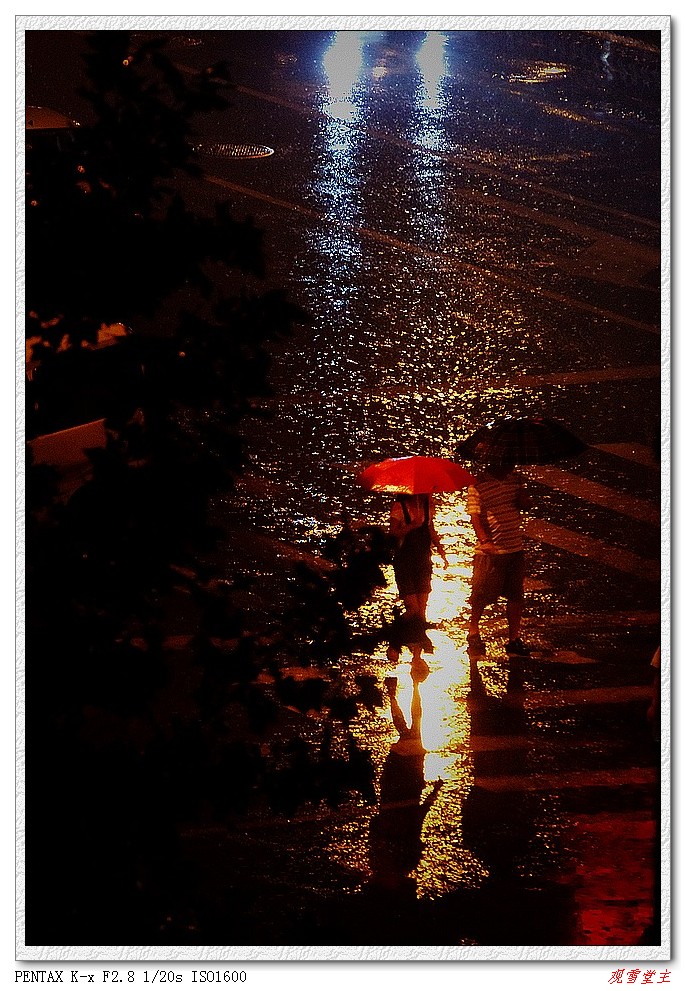 雨夜街景 摄影 观雪堂主