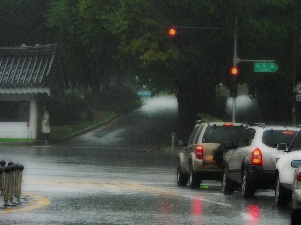 雨中的次序 摄影 严剑文