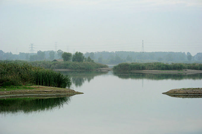 沙河湿地 摄影 画鸣