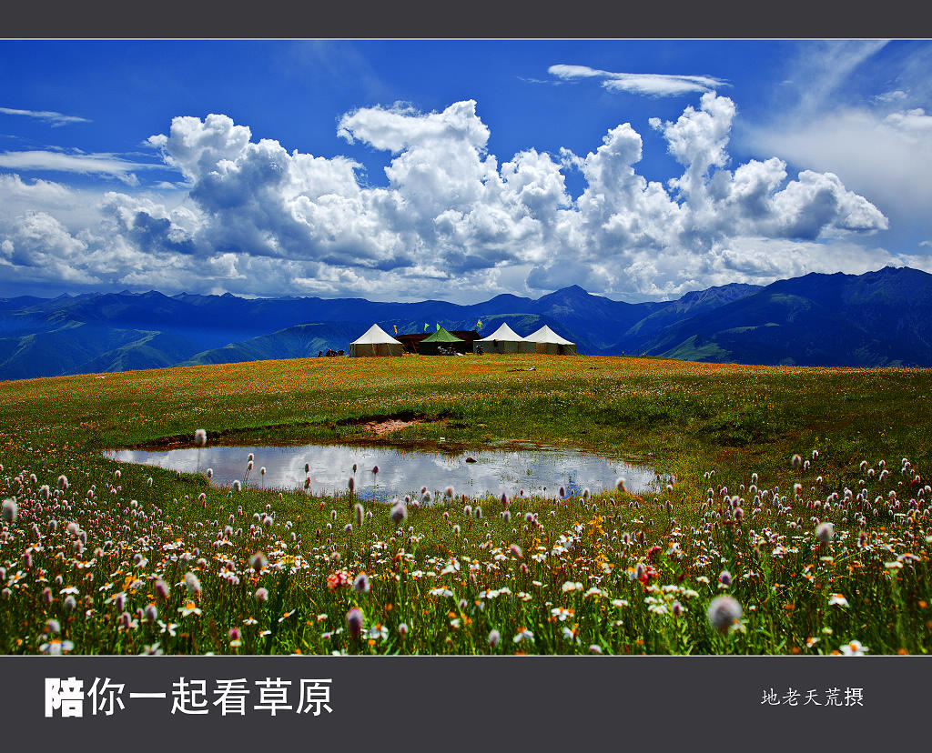 陪你一起看草原 摄影 地老天荒