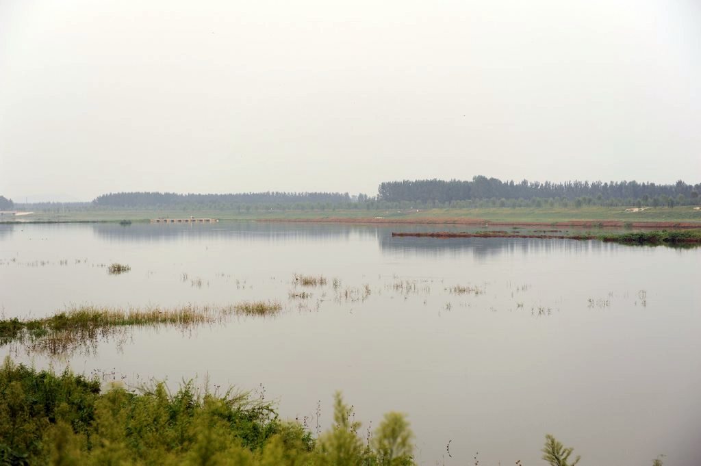 莲花湖湿地 摄影 潇洒走天下