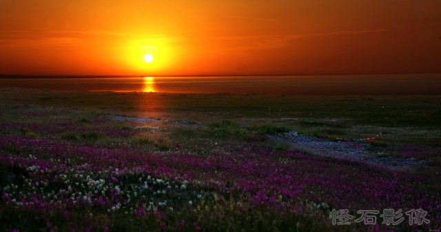 青海湖的夕阳 摄影 怪石