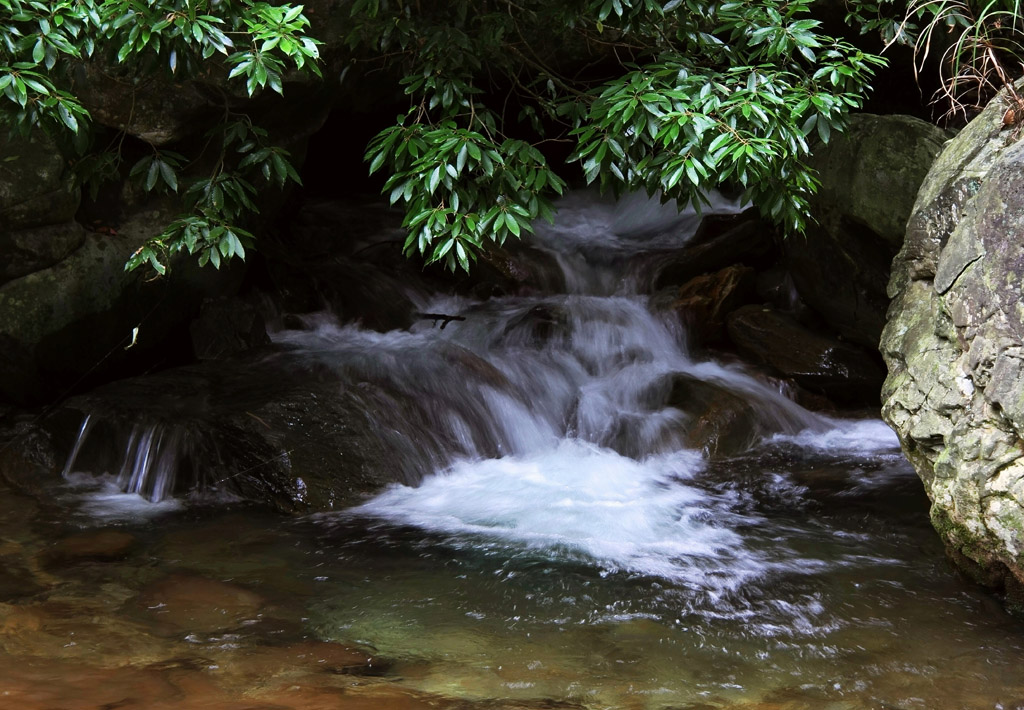 水韵（三） 摄影 tt2621636