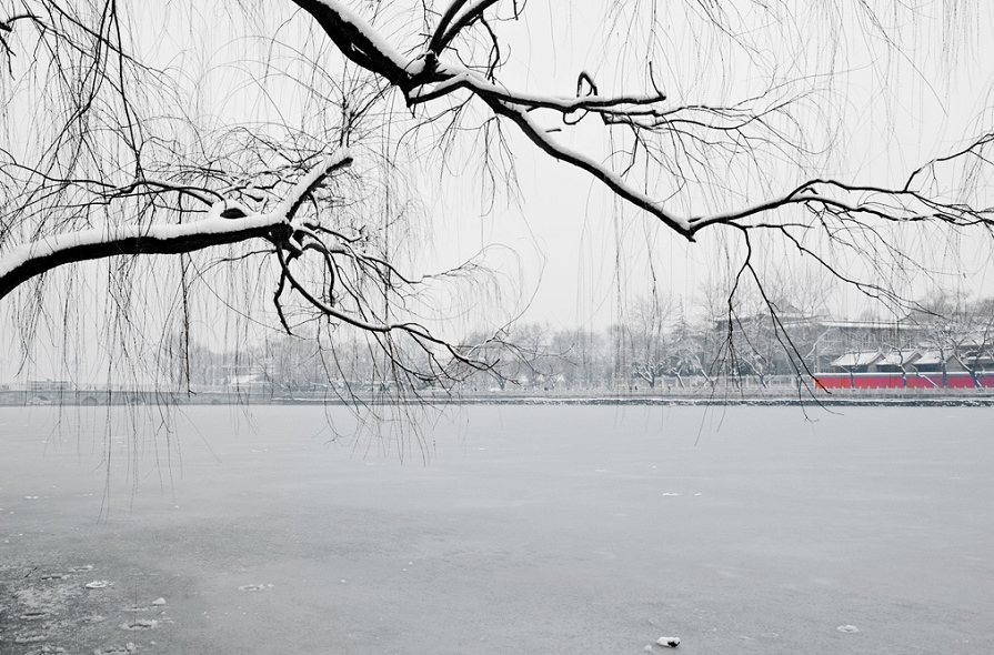 雪景 摄影 相逢是歌