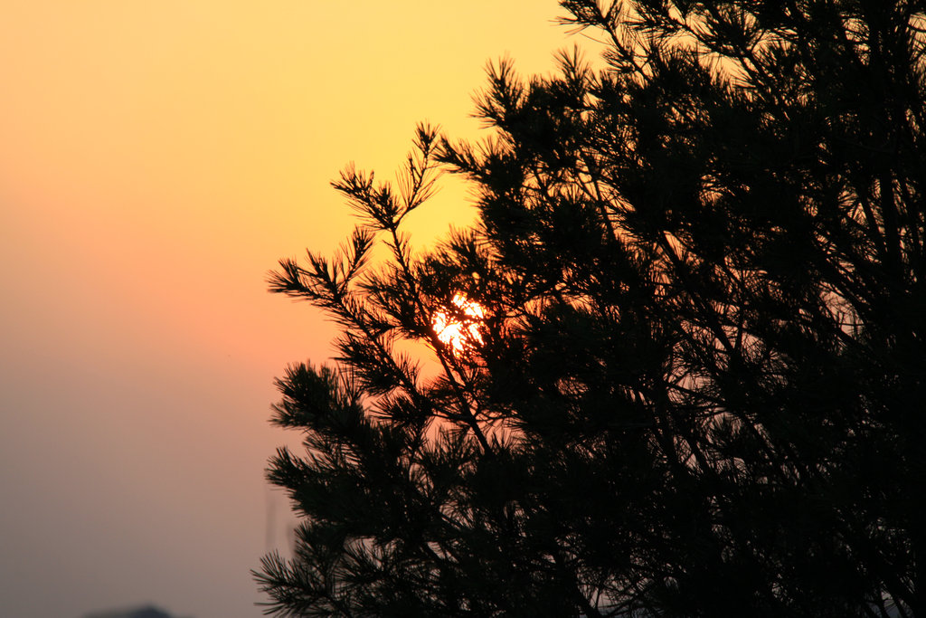 夕阳 摄影 甘露晓影