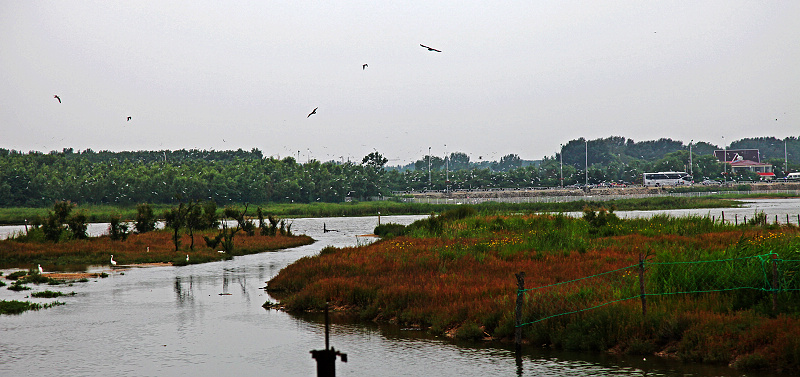 鸽子窝公园（保护区） 摄影 雨彤