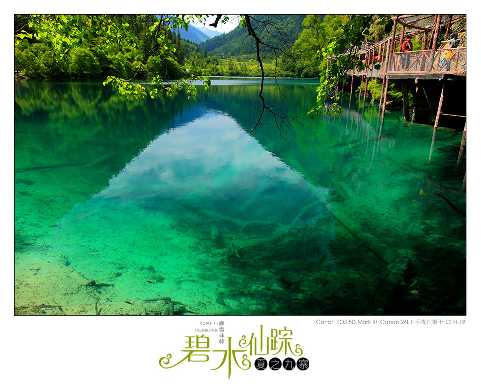 碧水仙踪-夏日九寨 摄影 尘雪非韩